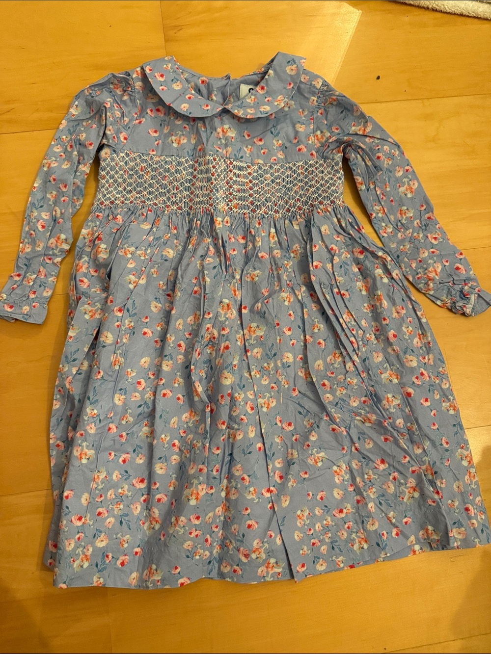 Question Everything Smocked Dress